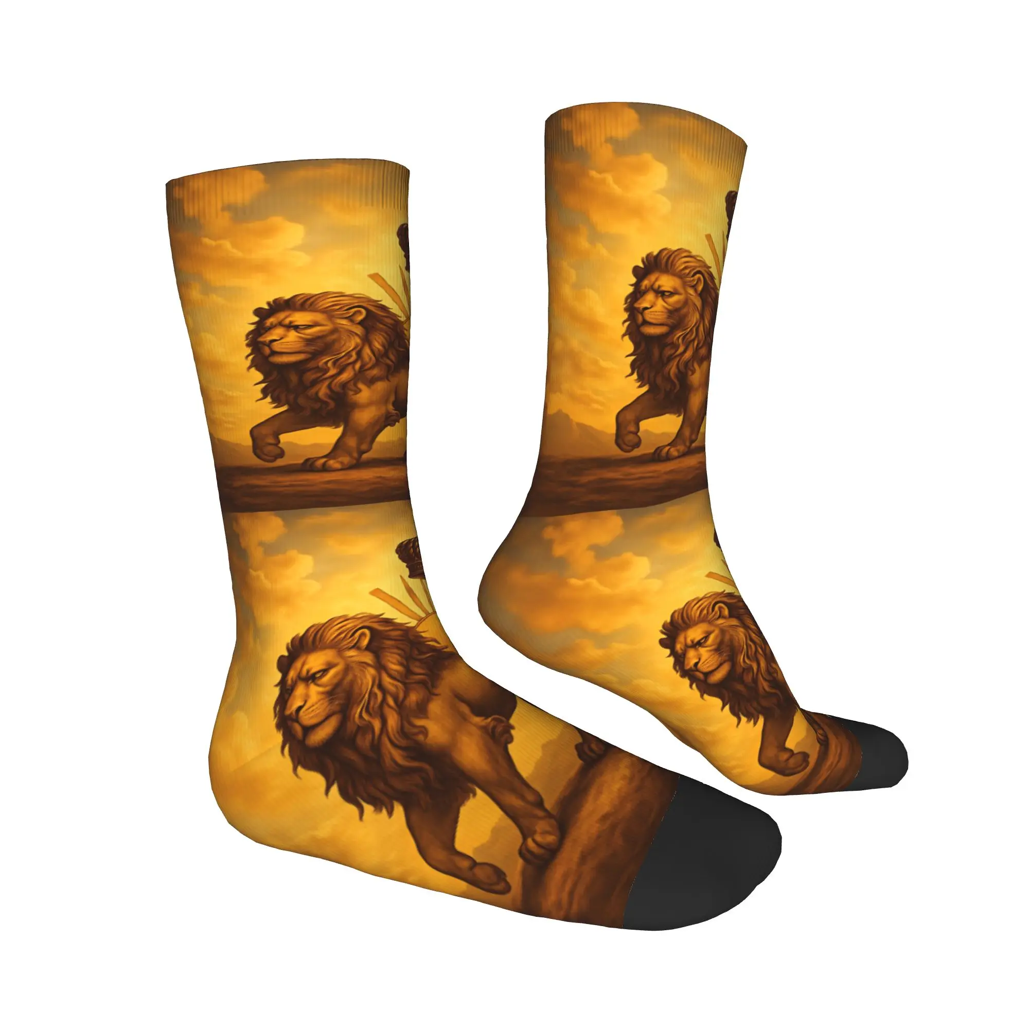 

Flag Of Iran Iranian Stockings Funny Socks Men's Quality Socks Autumn Running Sports Anti Bacterial Socks Birthday Present