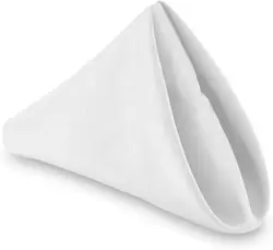 White Cotton Napkin, Natural Dish Towels for Dinner, Events, Weddings, Drying Glass, 40x40 cm, 1 Pc