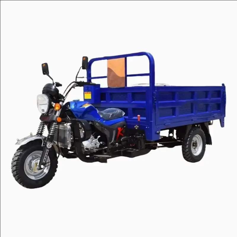 Open Body 200cc Tricycle Motorcycle Engine Three Wheel Cargo Motorcycle TR-002