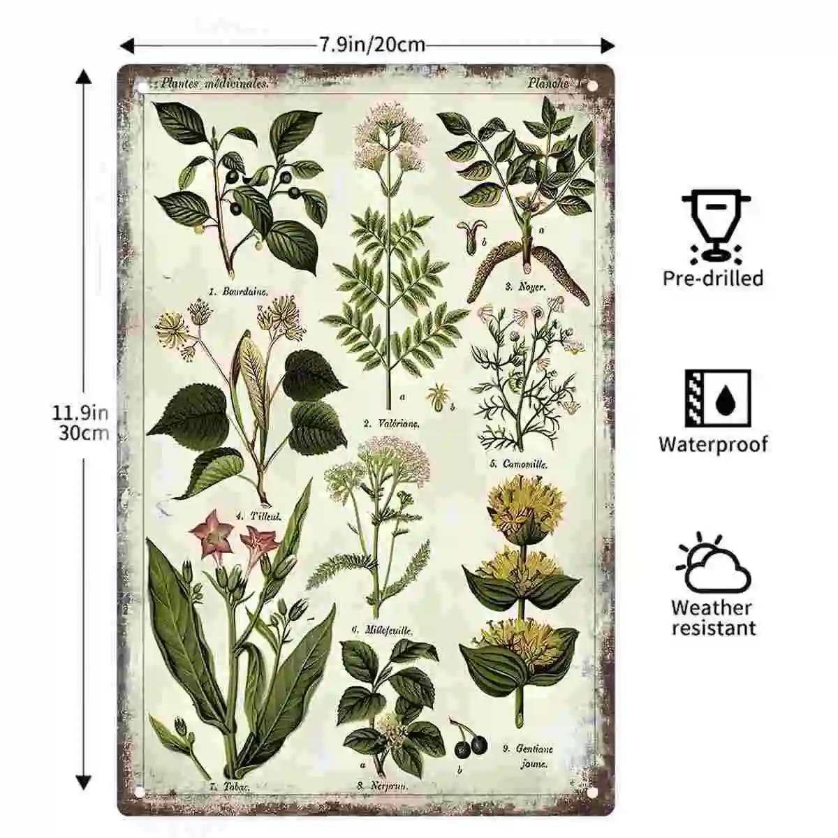 2D FLAT 1pc Vintage Medicinal Herbs Botanical Chart Metal Wall Sign Decoration for Home Cafe Garage Bedroom Porch And Garden