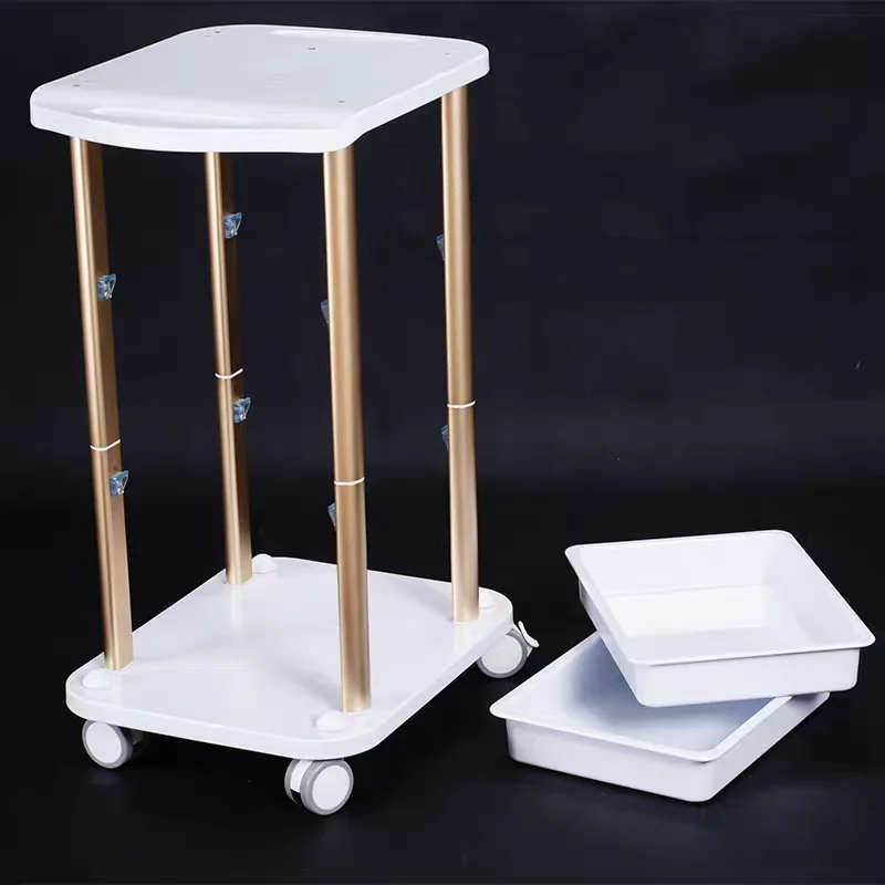 Living Room Side Table Stand Layer Small Mobile Rolling Cart Multi-functional Rack for Beauty Instruments Salon Furniture