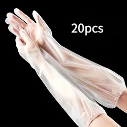 20pcs/set Extra Long Kitchen Cleaning Gloves, Waterproof and Oil Resistant, Durable and Comfortable Plastic Gloves, Multipurpose