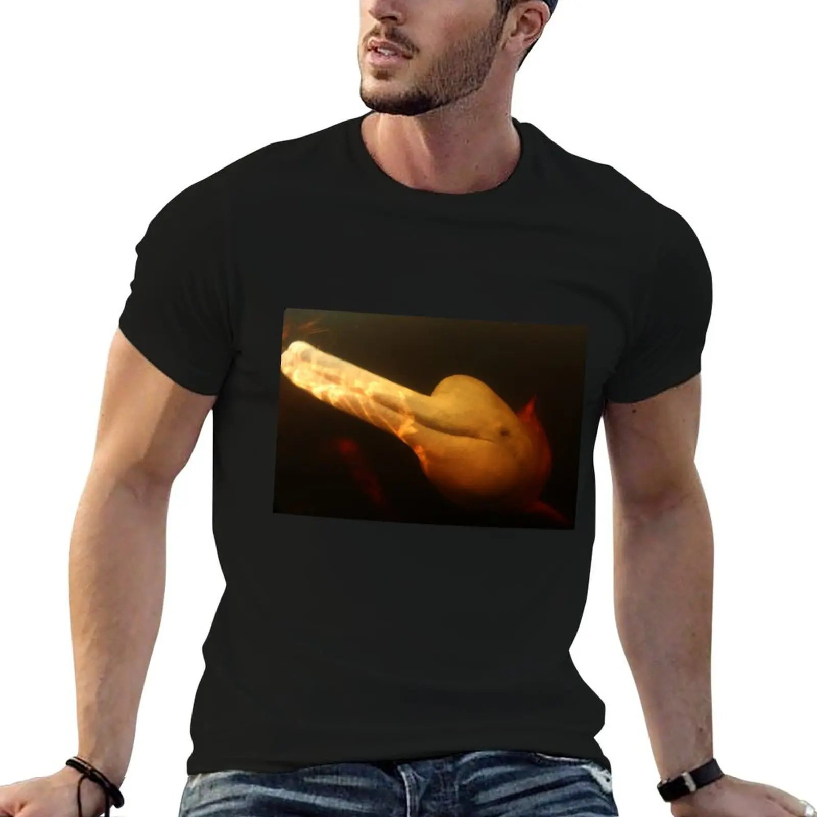 Camiseta Boto, o Pink Amazon River Dolphin, camiseta para hombre, camisetas 100% de algodón de marca de lujo para hombre, camiseta lisa para hombre