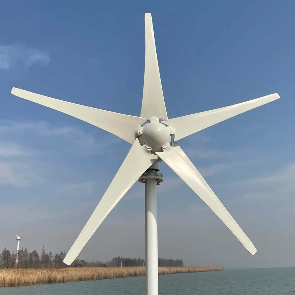 3000w 5 blades Free Energy Wind Energy HIGH Efficient 12v 24v Wind Turbine Generator With Controller