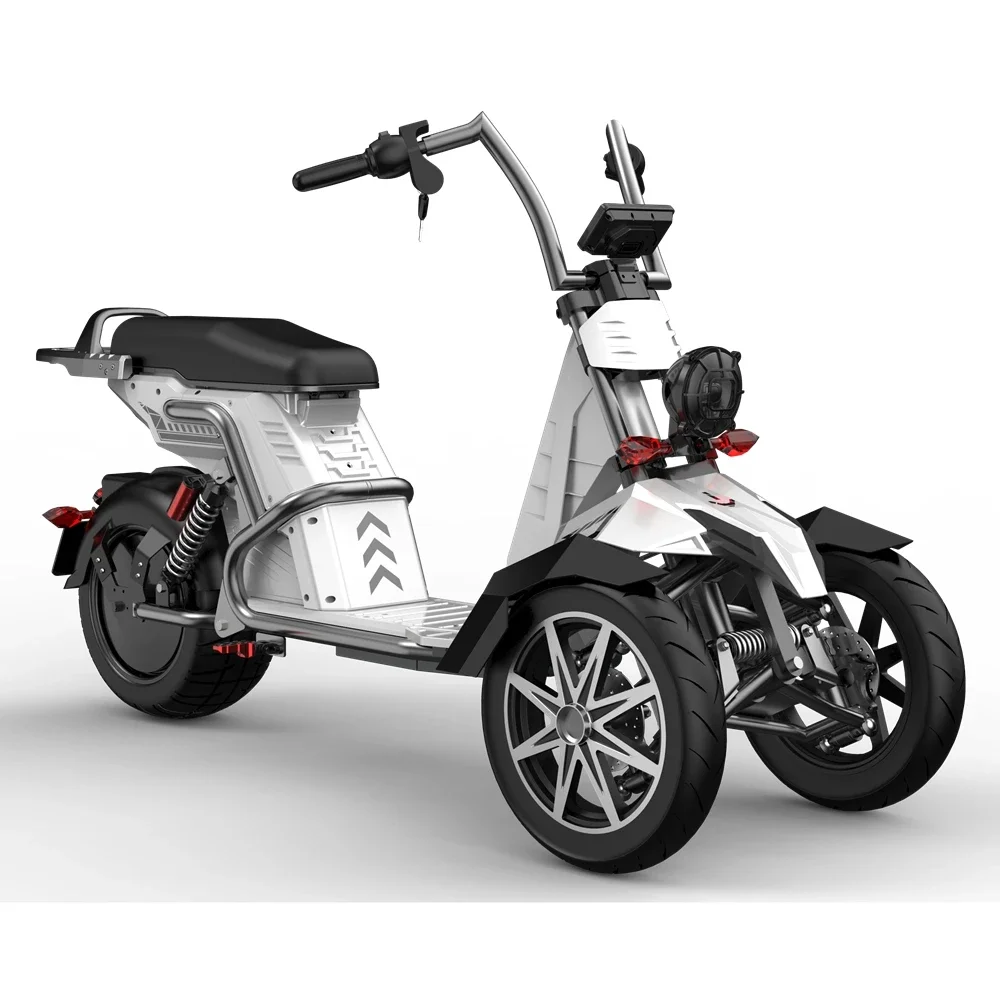 Electric Passenger Tricycle Rooder EEC 3 Wheel Electric Scooter Electric Motorcycle 2000W 3000W Motorcycle