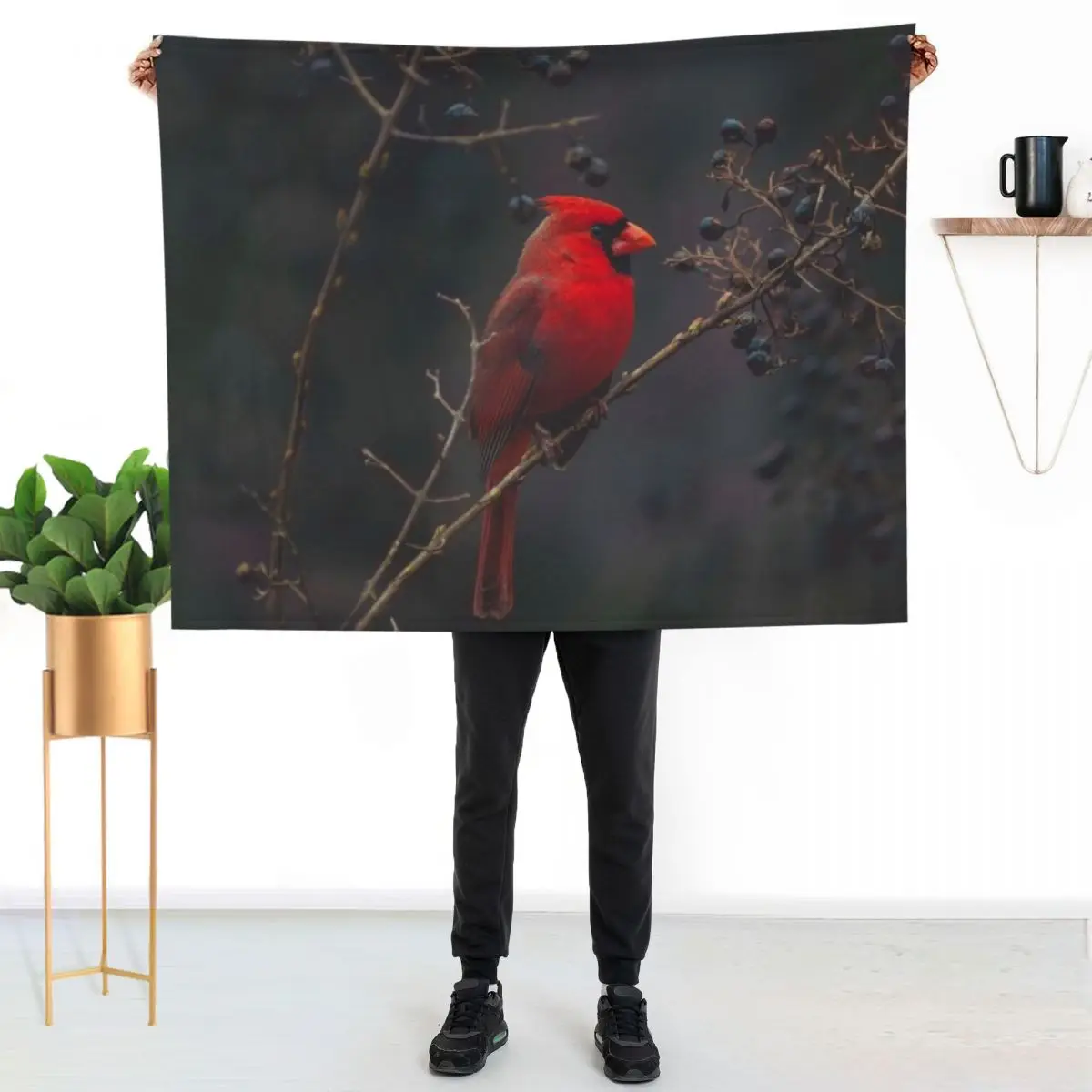 Male Cardinal Throw Blanket Thin manga Flannel Hairy Shaggy Blankets