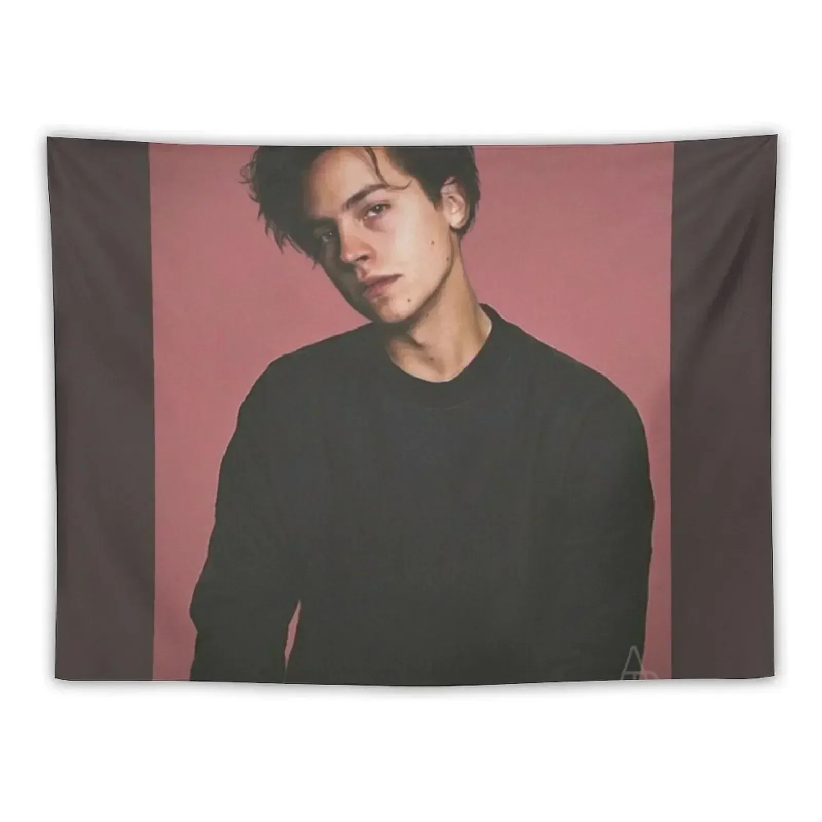 

Cole Sprouse Tapestry Aesthetic Room Decor Decoration Wall Tapestry