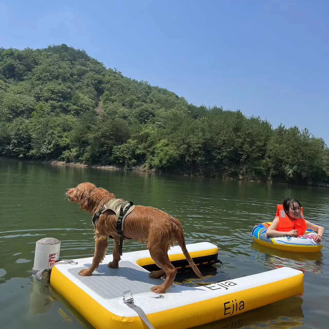 

China factory customize Dog Ramp Climb Platform inflatable floating pool step dog ramp For Dog Pools Boats