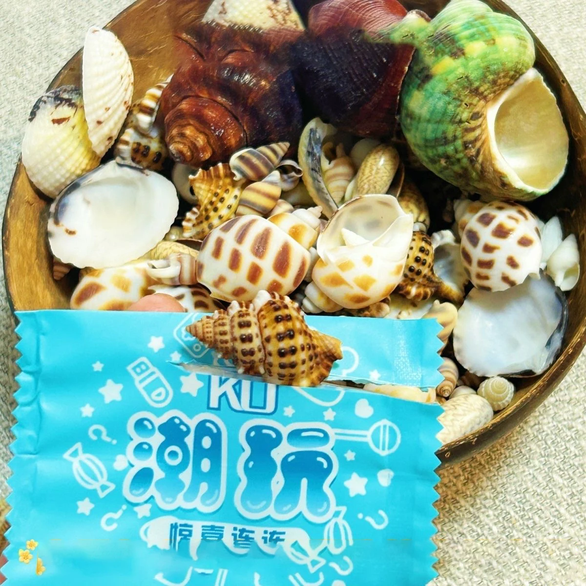 

5/40 шт., мини-сумка из смолы, креативное украшение, украшение для рабочего стола, океанская ракушка, слепая коробка на день рождения, подарок, отправлено случайным образом