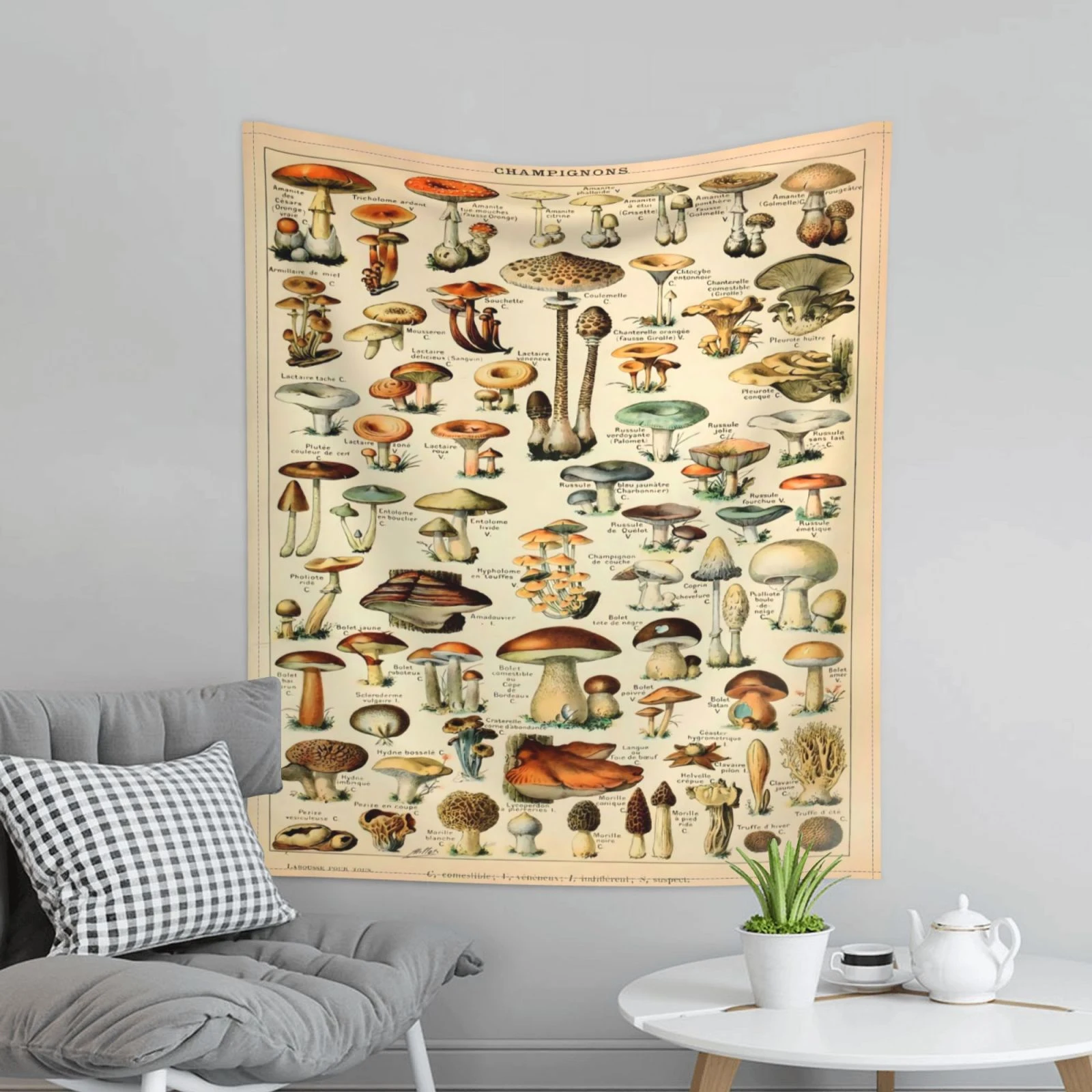 

Boho Decor Mushroom Tapestry Wall Hanging Botanical Print Floral Illustration Identification Chart Diagram Illustration Wall Art