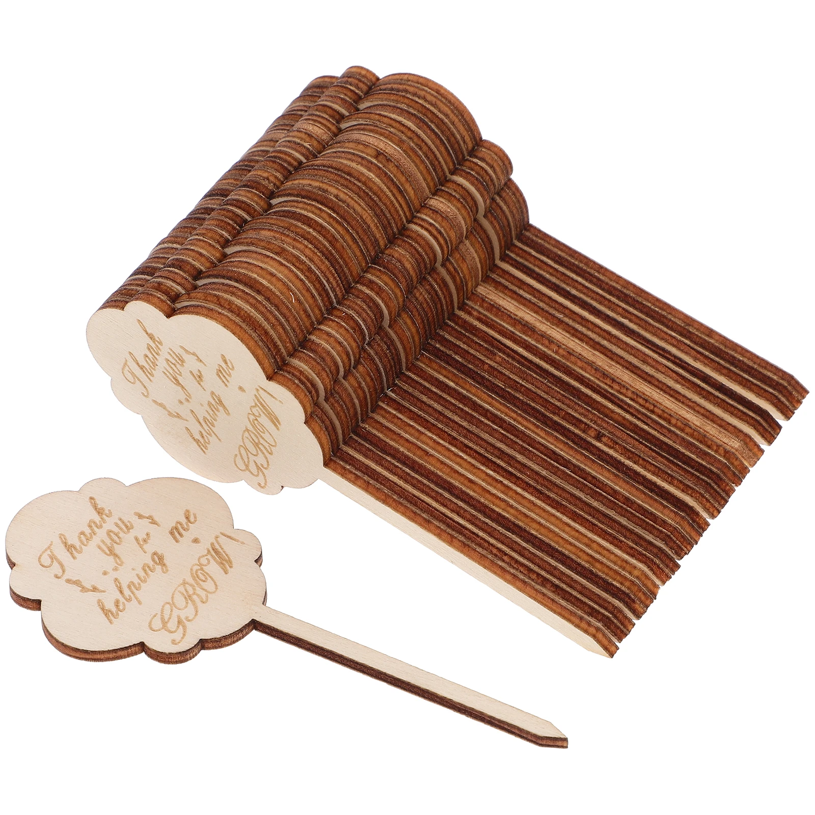 

25pcs Bamboo Plant Markers Garden Herb Flower Succulent Wooden Tags T-Type Thank You Stakes Outdoor Weatherproof Vegetable