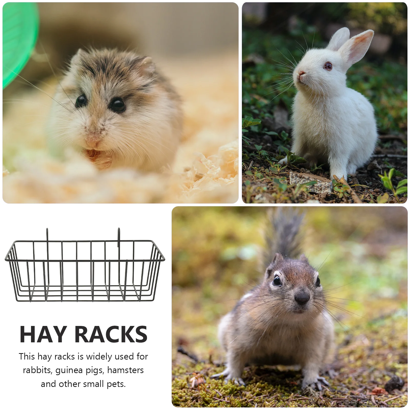 2 Pcs Ornament Container Rabbit Hay Feeder Guinea Pig Accessories Racks Pet Cage Adorable Large Capacity