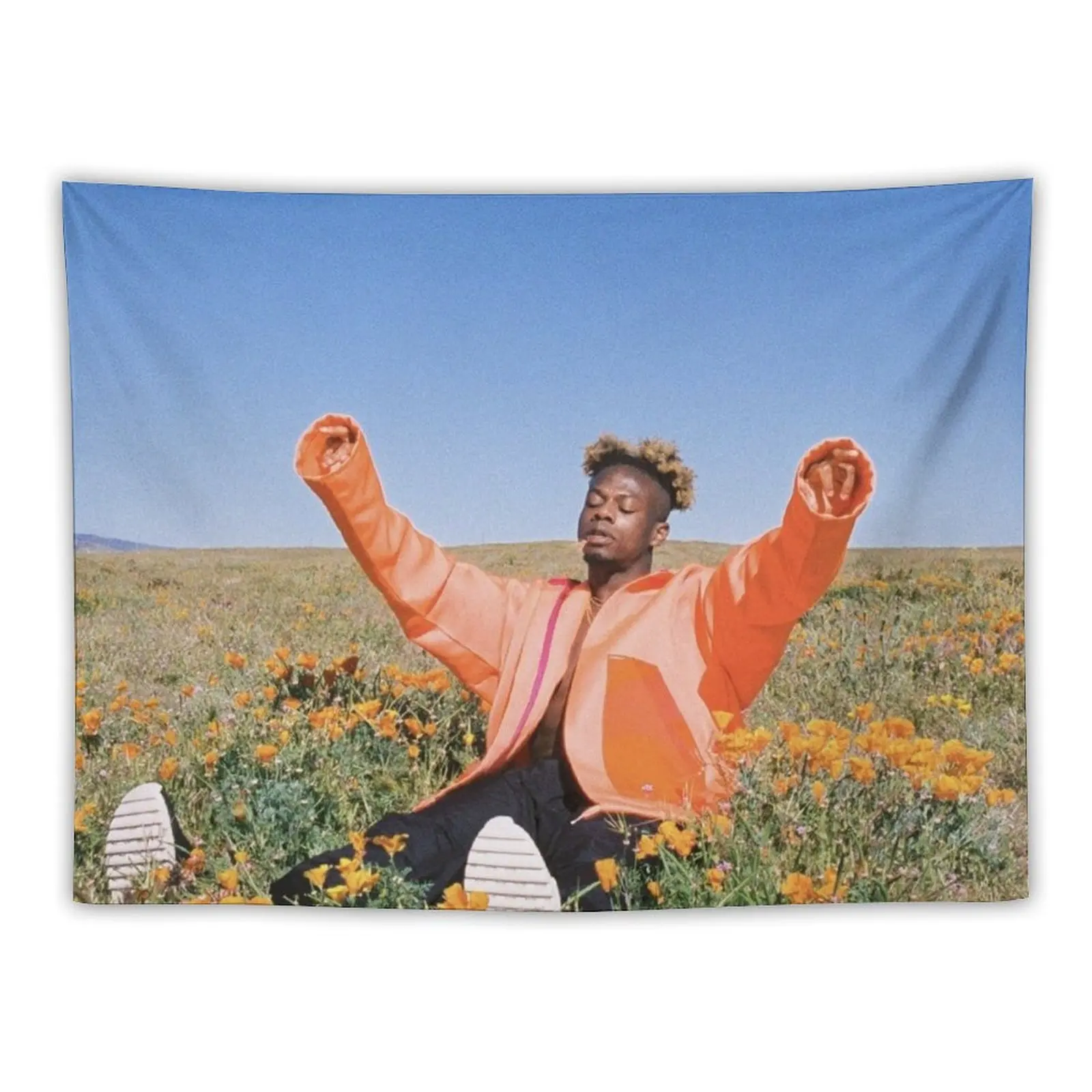 

Tobi Lou Tapestry Aesthetic Room Decor Korean Bedroom Decorations Tapestry