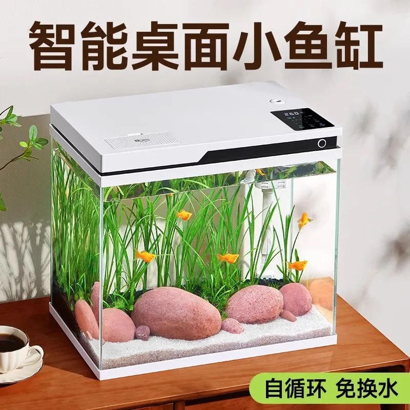 Small living room desktop ultra-white glass landscaping aquarium water-free ecological fish tank