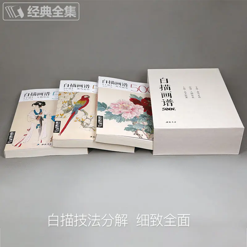 3books Line Drawing Reference 5000 Examples Flowers Fruits Birds Animals Figure Insectsm Step-by-Step Guide