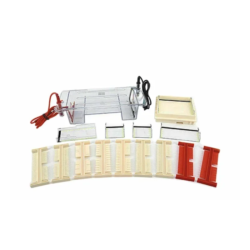 Nucliec Acid Horizonetal Electrophoresis Cell Agarose Electrophoresis Tank DYCP-31DN For DNA Identification Separation Preparate