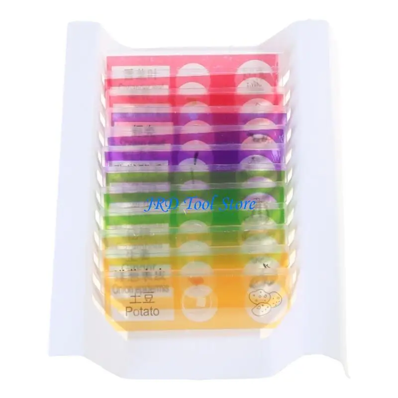 A2UD pour les enfants Plastic Préparé microscope Tlides Insecte Échantillon d'échantillon biologique