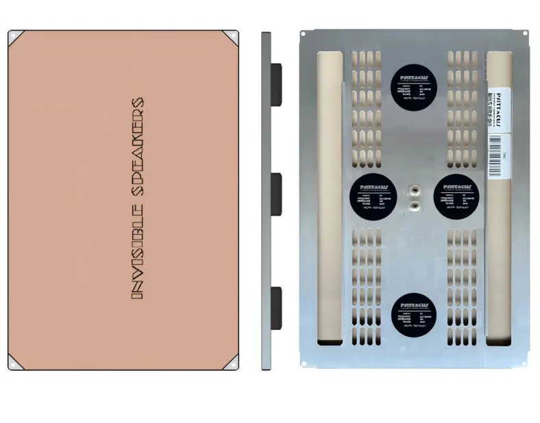 High Quality 20W 30W 50W 60W 120W Invisible Hidden DML Speaker In Ceiling In Wall Home Theater Audio Loudspeaker
