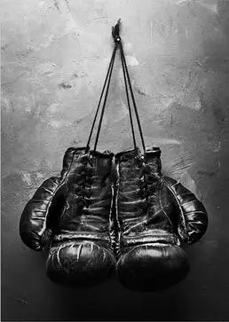 More style Boxing Gloves Vintage Nordic Style Art Film Print Silk Poster for Your Home Wall Decor