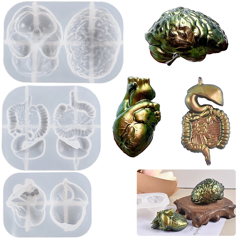 Simulation Fake Heart Brain Digestive System Shape Silicone Mold DIY Human Person Simulation Parts Model Ornaments Resin Mold