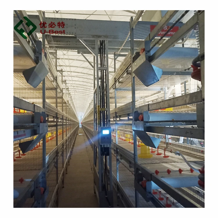 Durable Galvanized Sheet Structure Laying Hen Cage H Type Chicken Farming Equipment From China Manufacture