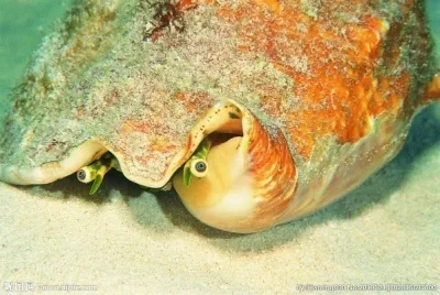 

4 шт. резиновых колесных покрышек для Tamiya TT01, TT01E, TT02, TT02B, XV01, TA06, PTG-2, 1/10, запчасти и аксессуары для радиоуправляемых моделей автомобилей