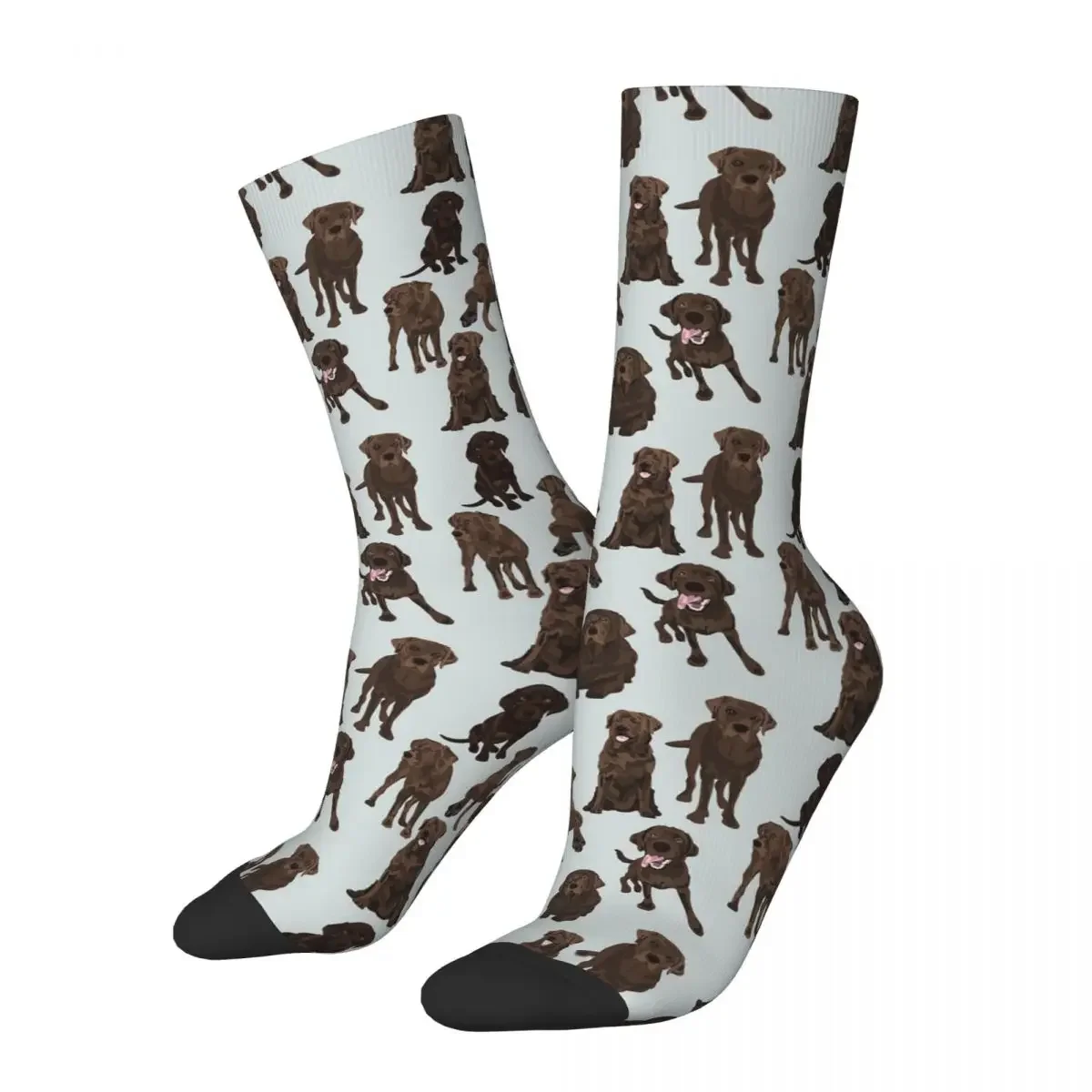 Chocolate Labrador Socks Harajuku Sweat Absorbing Stockings All Season Long Socks Accessories for Unisex Gifts