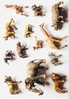 

Noah's Ark Prop-less Animal Guess by Fraser Parker - Magic tricks (Instant Download)