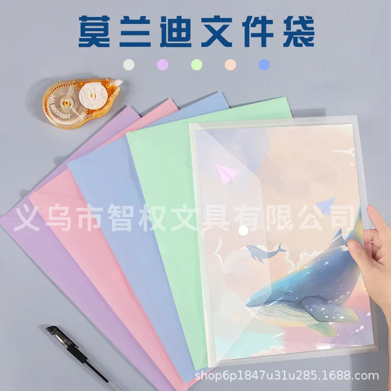 

5pcs A4 Plastic Document Folder Clear Document Envelope Folder with Snap Button Storage Folder Organizer for School