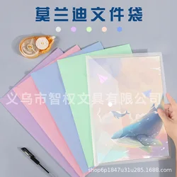 5Pcs A4 Size Plastic File Folders Clear Envelopes Document Organizer with Snap Button PP File Bags for Home Office Stationery