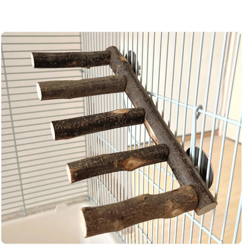 Natural Apple Wood Pet Parrot Raw Wood Fork Tree Branch Stand Rack Squirrel Bird Hamster Branch Perches Chew Bite Toys Stick