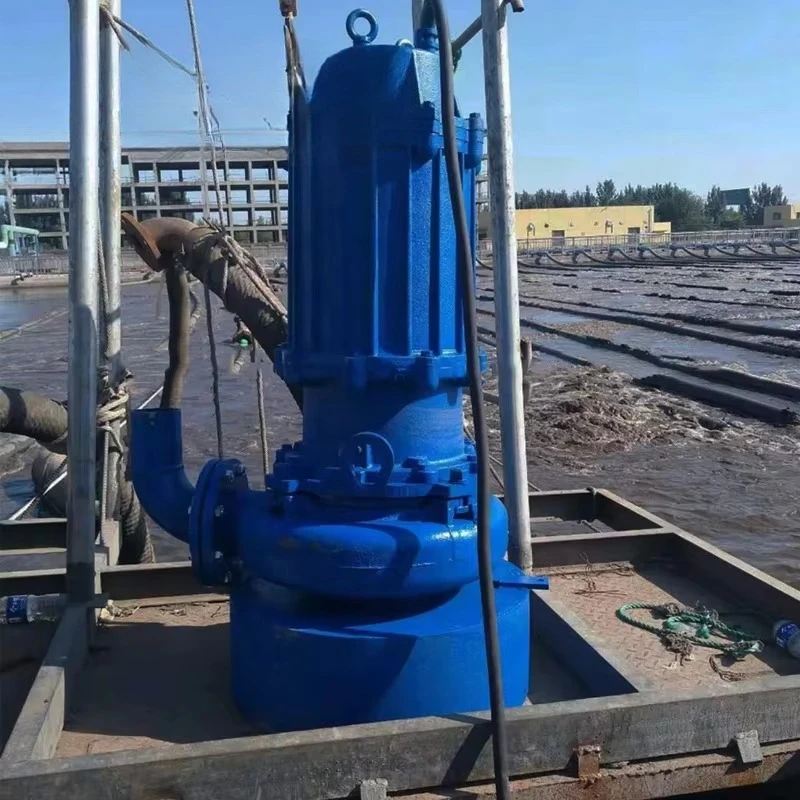 مضخة مياه الصرف الصحي الصغيرة متعددة المراحل شديدة التحمل من المصنع مضخة حمأة المياه الهيدروليكية أحادية المرحلة لطين الطين الأخرى