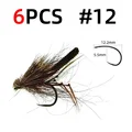 6cs size 12
