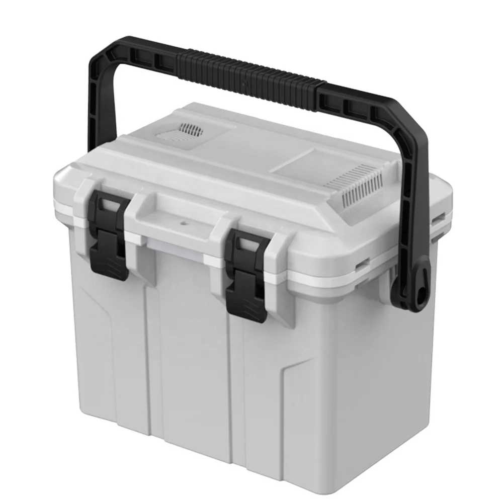 

12V Car Fridge 15L Semiconductor Refrigerator Mini Capacity Freezer Easy to Carry for Your Vocation or Trip