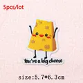 PE16900CT