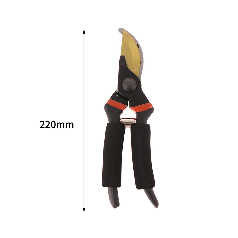 ลูกพรุนได้อย่างง่ายดายโดยใช้กรรไกรตัดแต่งกิ่งสวนของเรา เหมาะสําหรับบอนไซ ดอกไม้ และต้นไม้ผลไม้