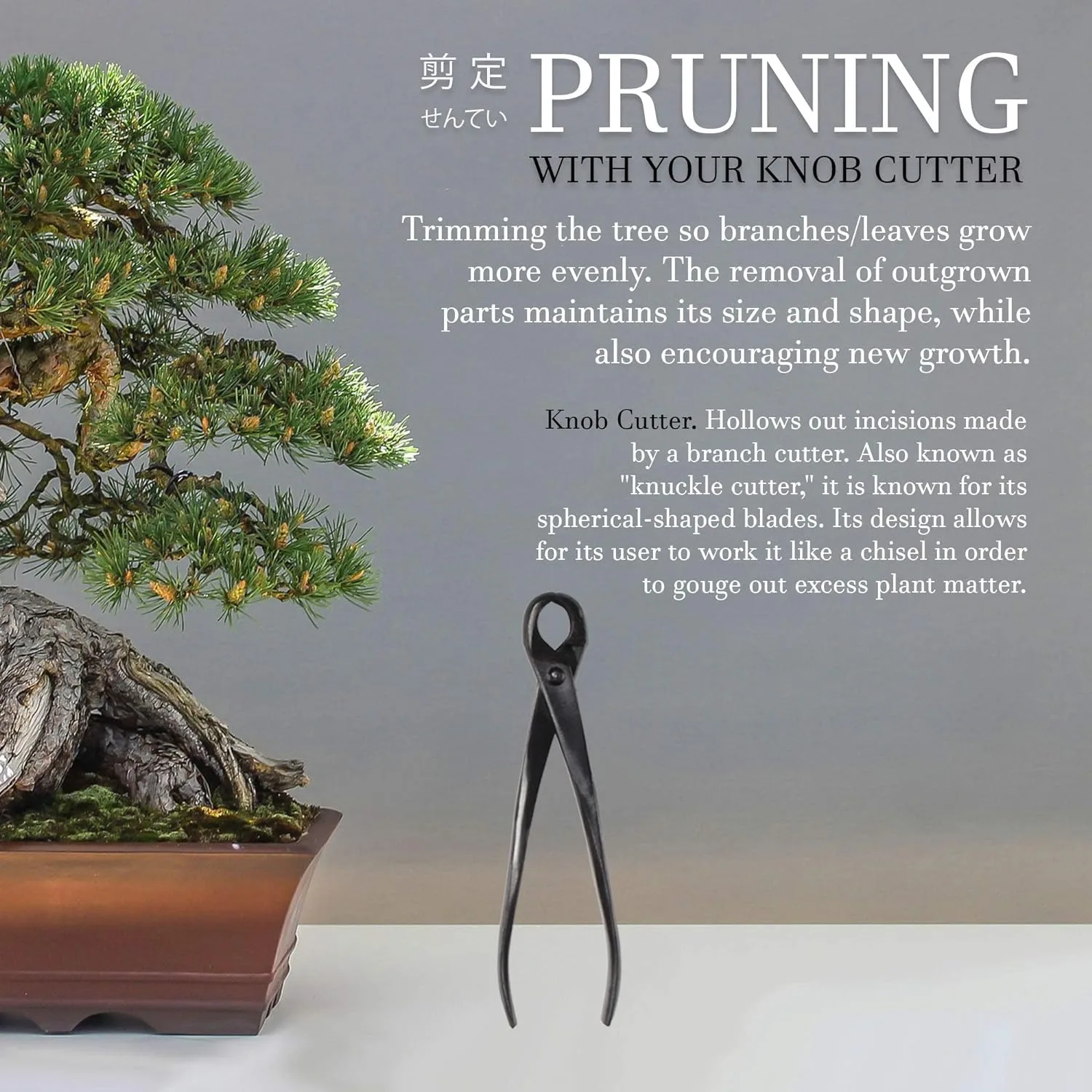 Imagem -02 - Bonsai Branch Cutter Scissors Joint Shear Tree Clippers Parts Garden Shears Bonsai Tool For Garden Knob Cutter Tool