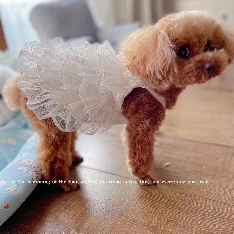 Spring/Summer Dog Cake Skirt Multi layered Lace Skirt Full Wedding Dress Sweet Pet Clothes Cat Skirt Teddy Princess Skirt