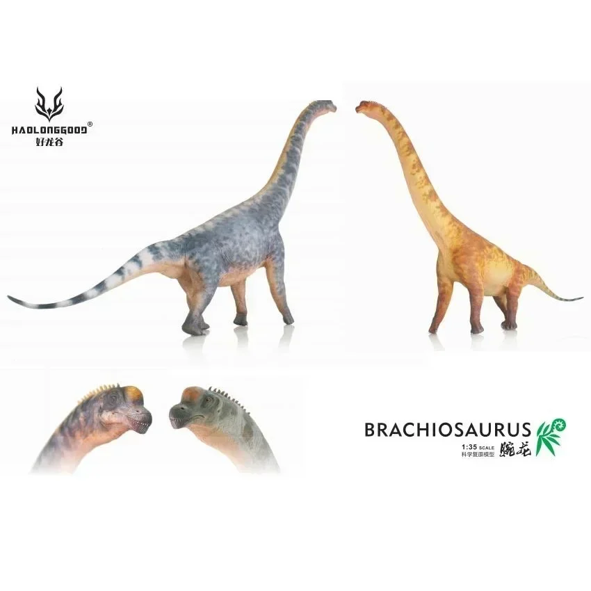 In Stock 1:35 HAOLONGGOOD Brachiosaurus + 1pcs Random Huayangosaurus Dinosaur Toy Ancient Prehistroy Animal Model with Box