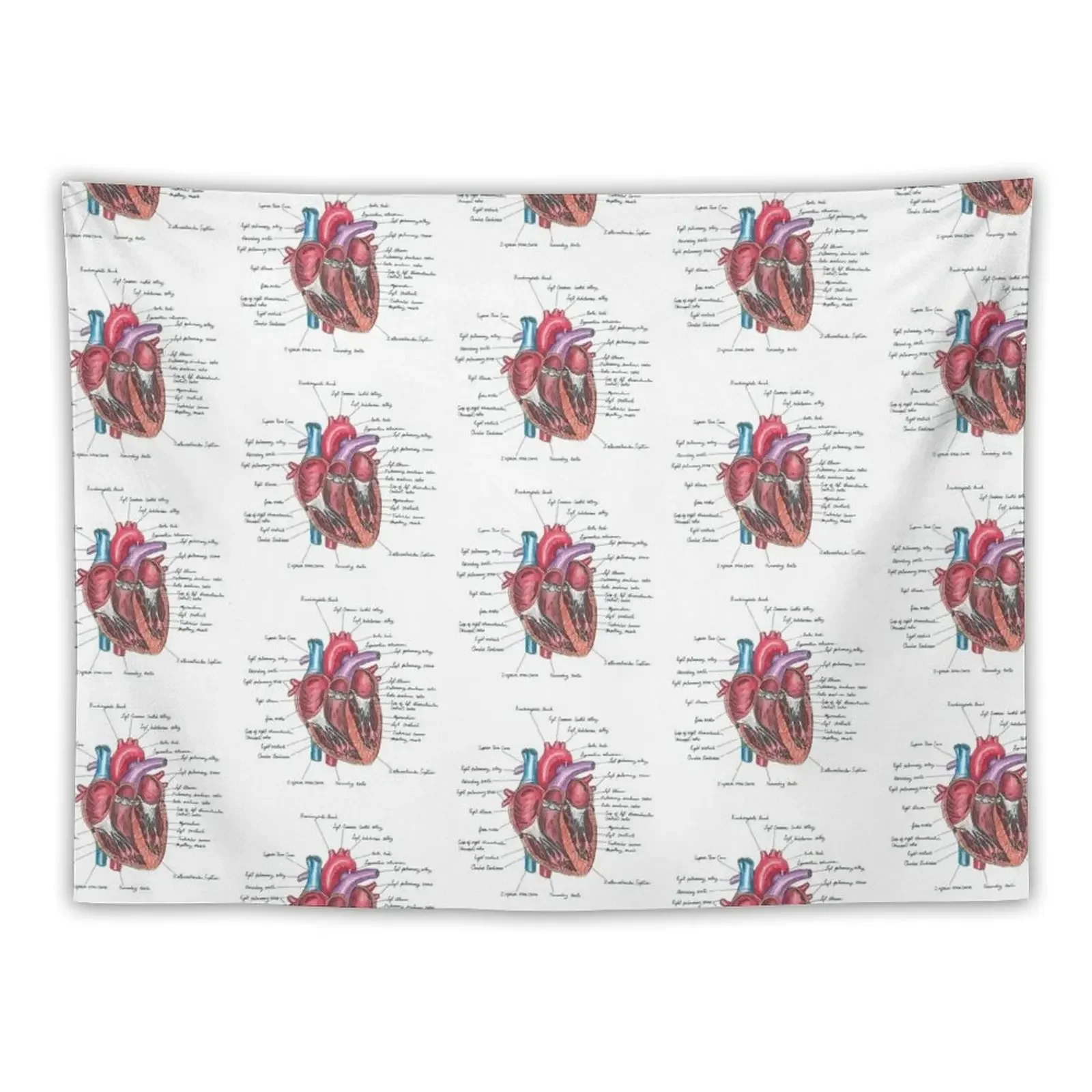 

Healthy Heart | Heart Anatomy | Medical Illustration Tapestry Wall Tapestries Tapestry