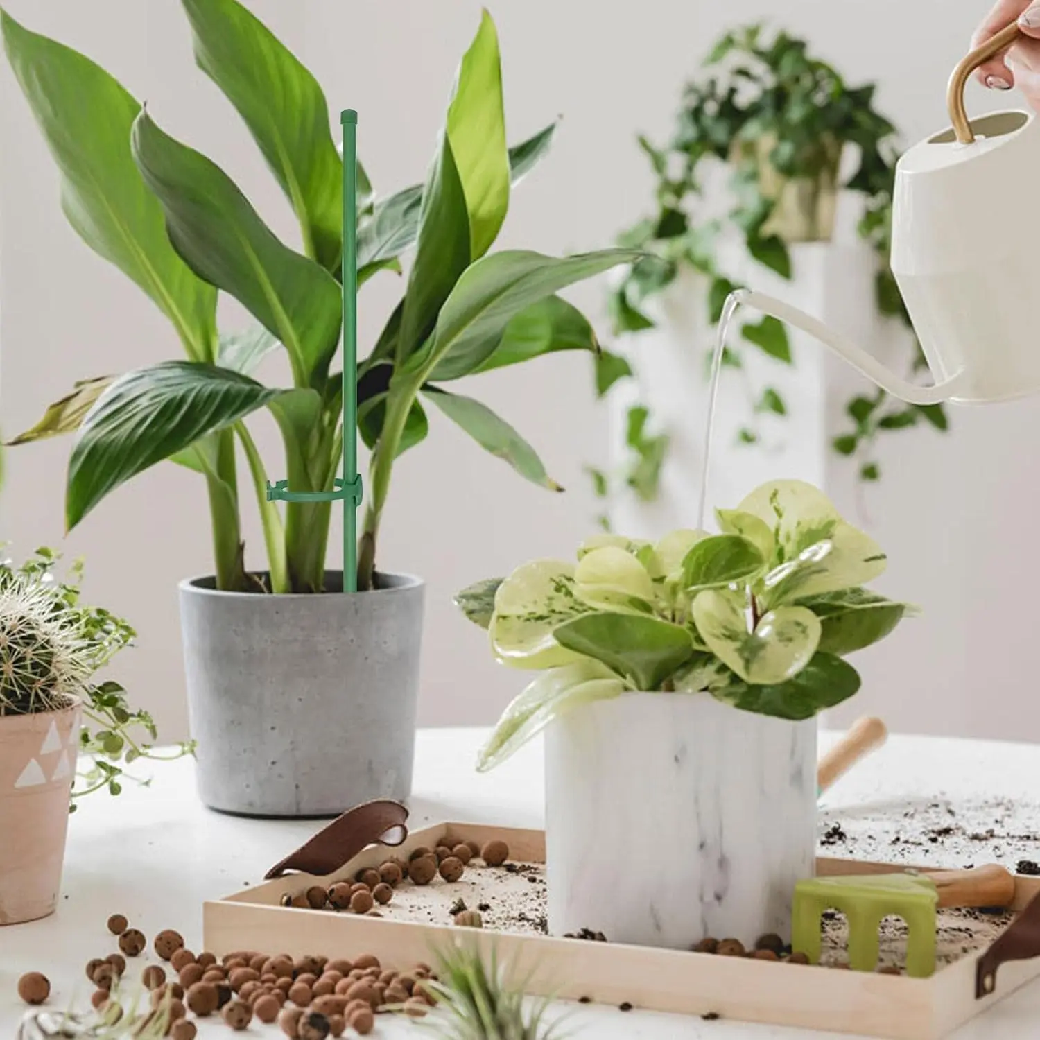 حديقة خضراء حصص قابل للتعديل دعم النبات قضيب شجيرة زهرة الورد العصي الطماطم الكرمة السحلية حامل أصائص زرع حامل القطب