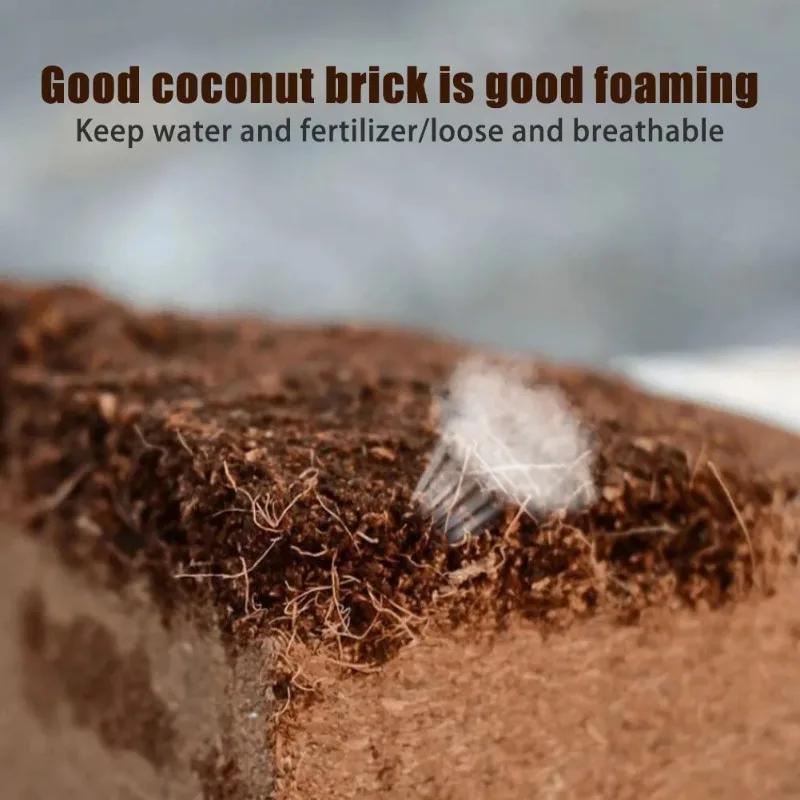 1 pezzo di mattone organico compresso Coco Coir Brick 10x10 cm Fibra di cocco Organico Terreno Pianta Media per la crescita Supporta la crescita delle piante