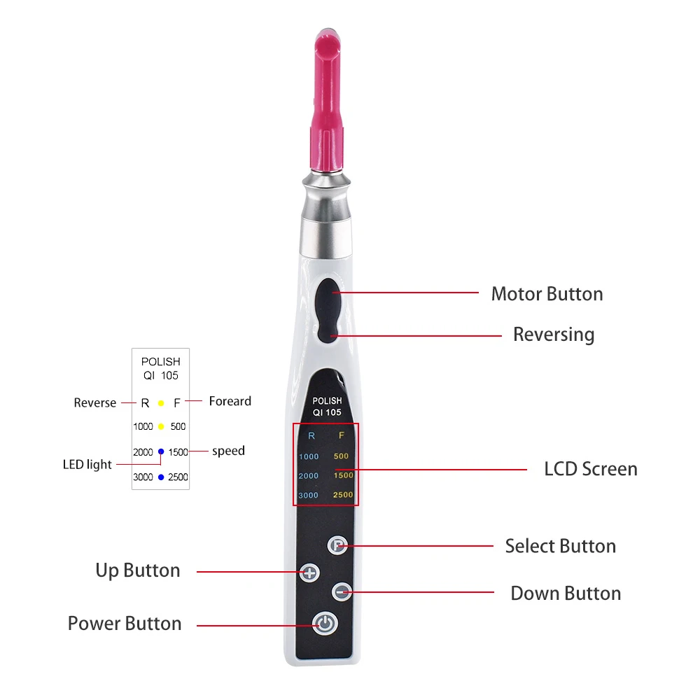 DEASIN Dental Electric Polishing Motor Straight Prophy Handpiece Disposable Head 500-3000 rpm/min Non-LED