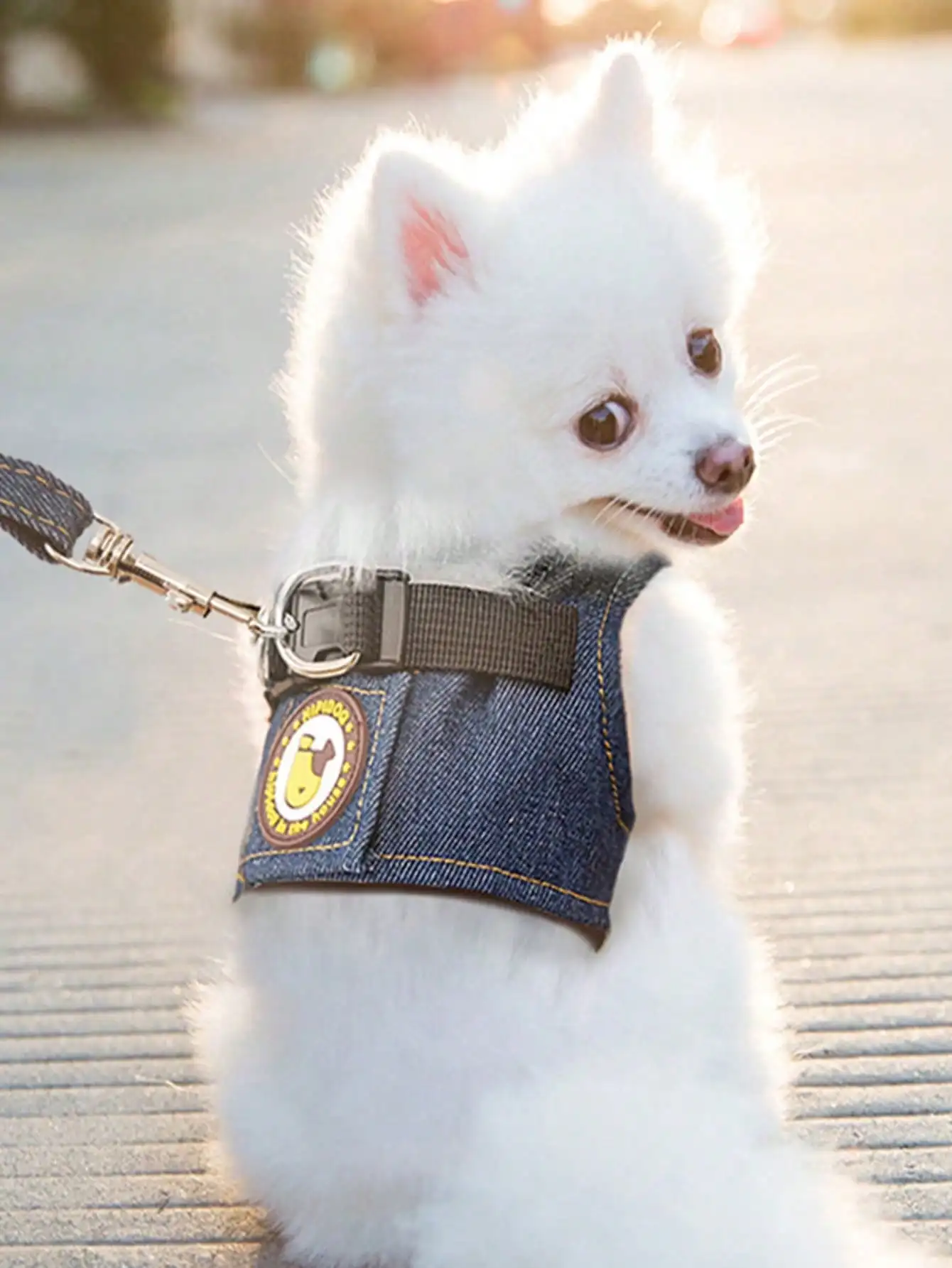 Hundegeschirr und Leinen-Set, Denim No-Pull Weiches Mesh-Hundegeschirr, Verstellbare Hundeweste für kleine, mittelgroße und große Hunde, Katzen