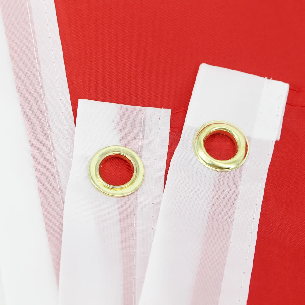 FLAGLINK 90x150 سم علم ولاية الولايات المتحدة الأمريكية تينيسي للزينة