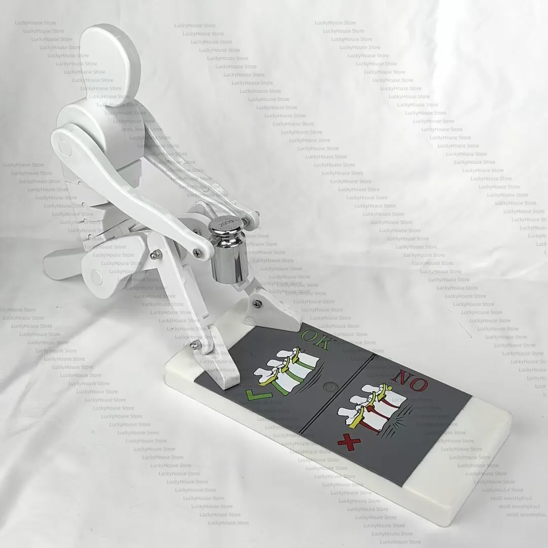 Human Spine Lumbar Load Demonstration Model Weightlifting Lifting Handling Ergonomics Fitness Safety Training Tool