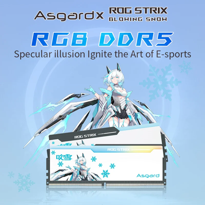 Asgard ddr5 ram 16GBx2 24GBx2 64GB 96GB  6400MHz 6800MHz 7200MHZ  Memoria Ram DDR4  Hynix chips for desktop