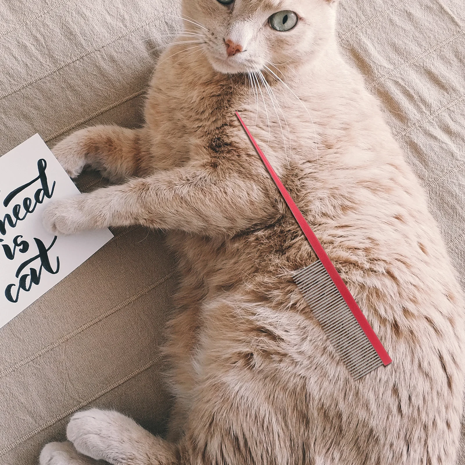 

3Pcs Pet Grooming Comb Stainless Steel Fine Tooth Hair Removal Tool for Dogs Cats Shedding Dematting Detangle Metal Dog Comb