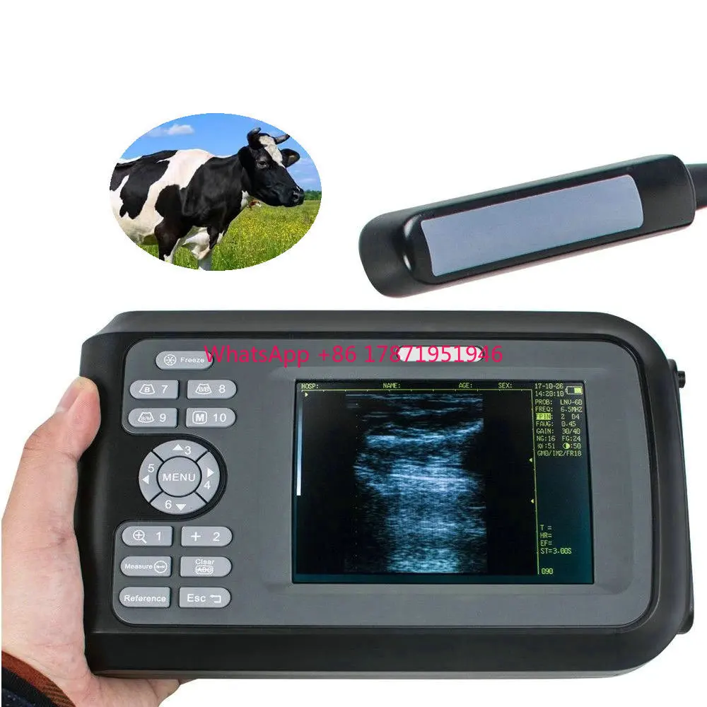 USB Rectal horse cattle cow bovine equine  test vet ultrasound machine price