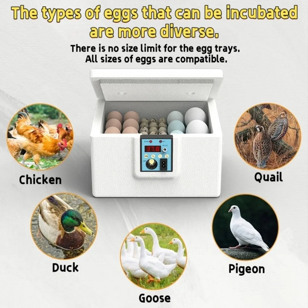 Digital Display 10/15PCS Waterbed Egg Incubator Foam Insulation Humidity Control Poultry Smart Incubator Temperature Control